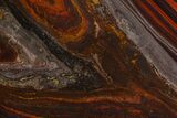 Polished Tiger Iron Stromatolite - Billion Years #129286-1